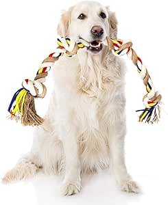 Acessórios Essenciais para Cães: Garanta Conforto, Segurança e Bem-Estar