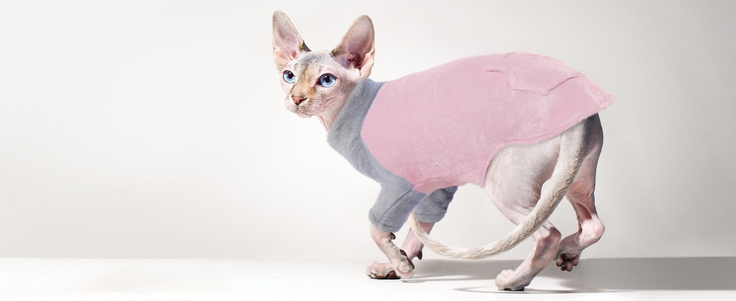 Roupas Invernais para Gatos