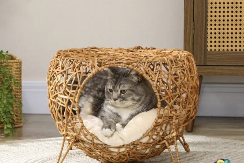 Cama Flutuante para Gato Pequeno: Conforto Elevado e Economia de Espaço para o Seu Pet