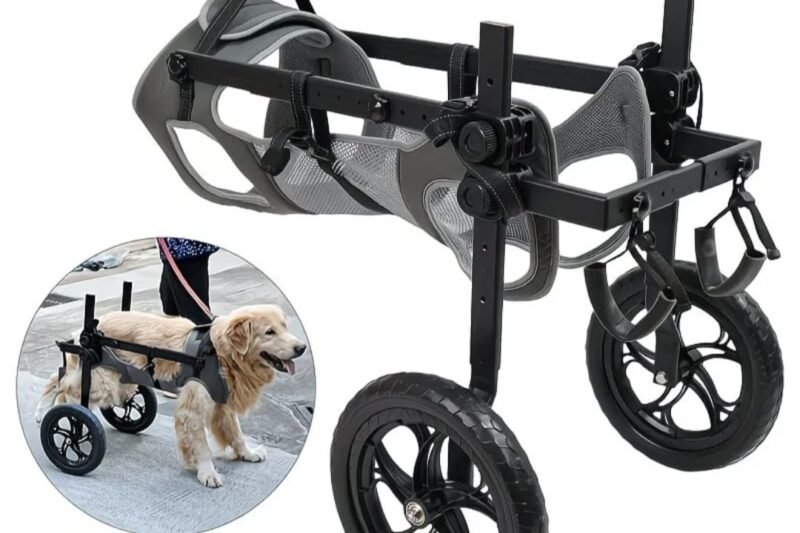 Cadeira de Rodas Ajustável para Cães Grandes: Mobilidade, Conforto e Qualidade de Vida